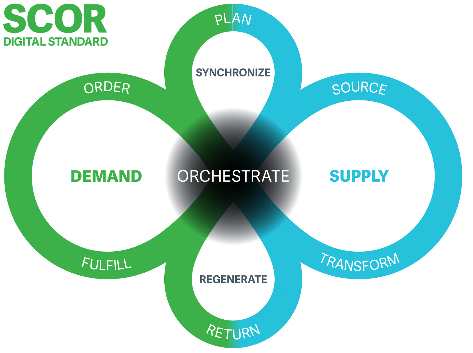 Graphical representation of the seven SCOR processes as two overlapping infinity loops.