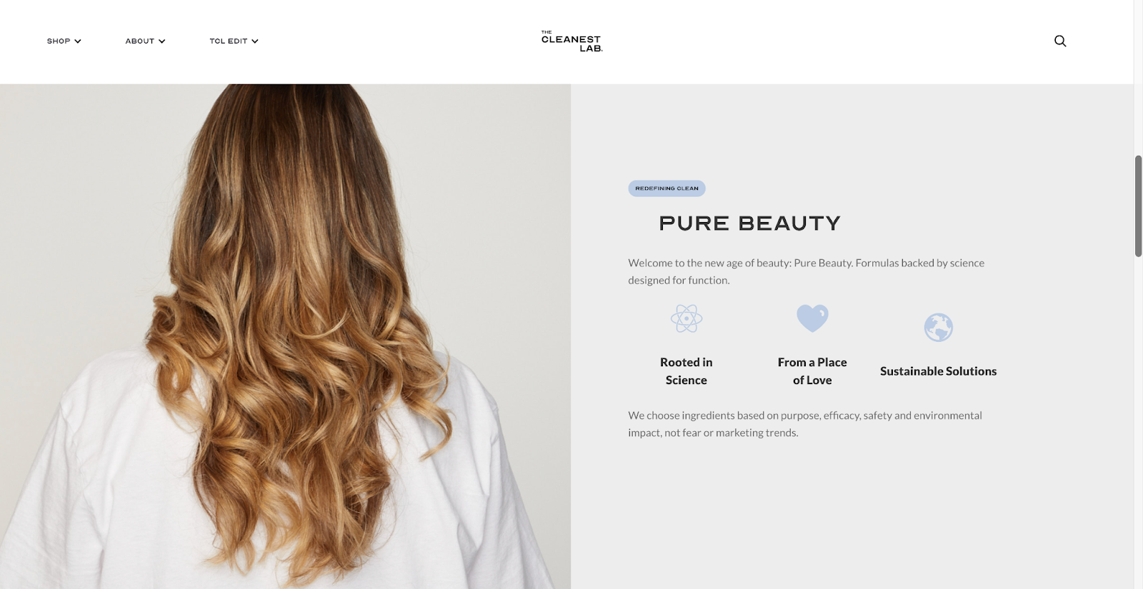 The Cleanest Lab’s “values” page with a woman’s hair and a list of the brand’s values.