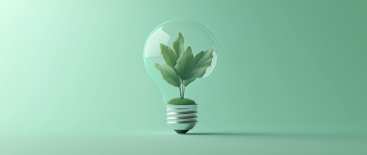 How Small Businesses Are Shaping the Future of Sustainable Innovation (2025) – Shopify