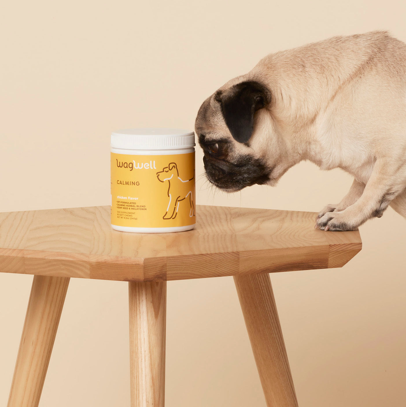 A pug nudges a container of WagWell Calming chews.
