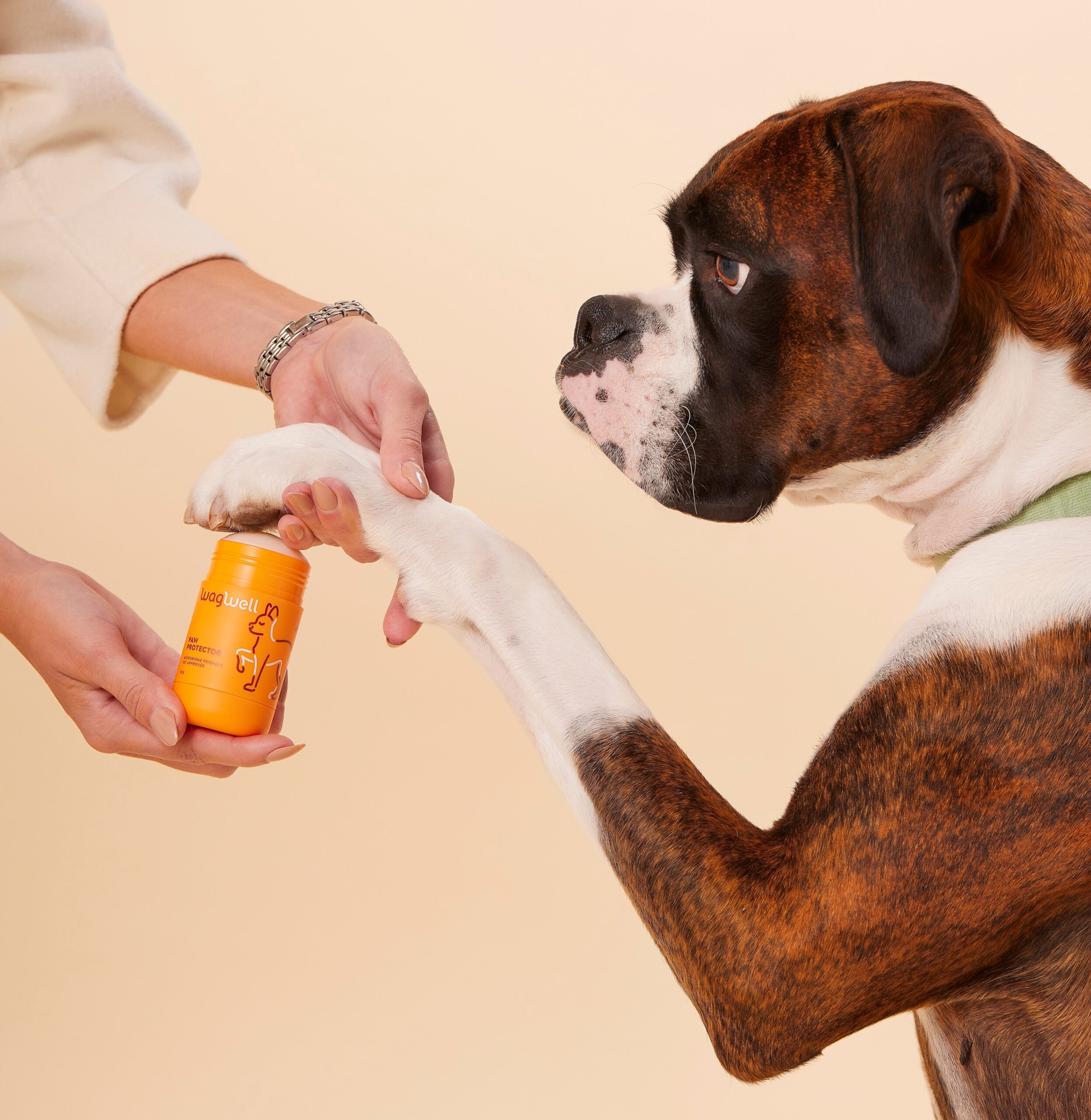 A model’s hands apply WagWell’s Paw Protector onto a dog’s paw.