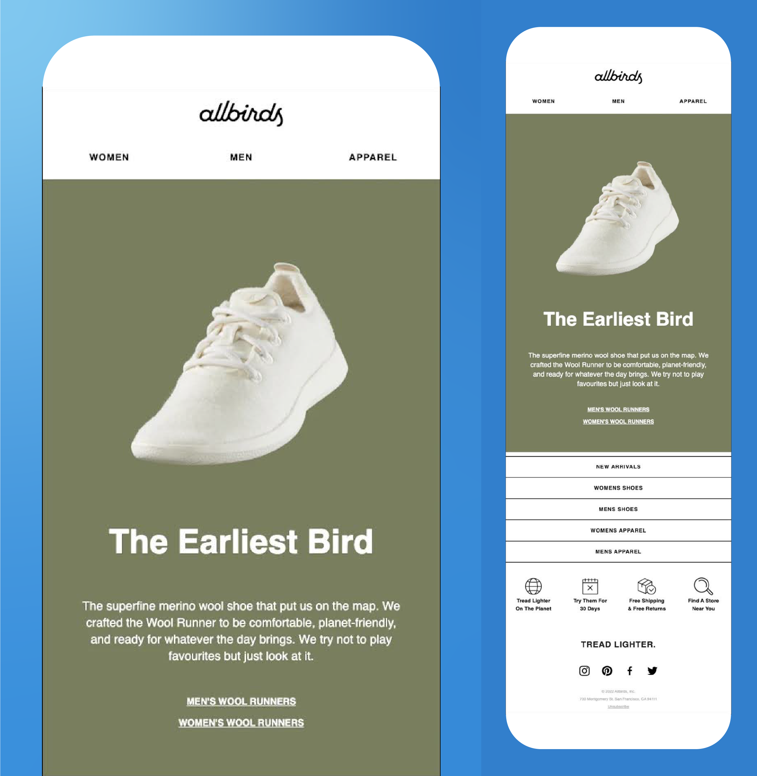 Screenshot of Allbirds reengagement email.
